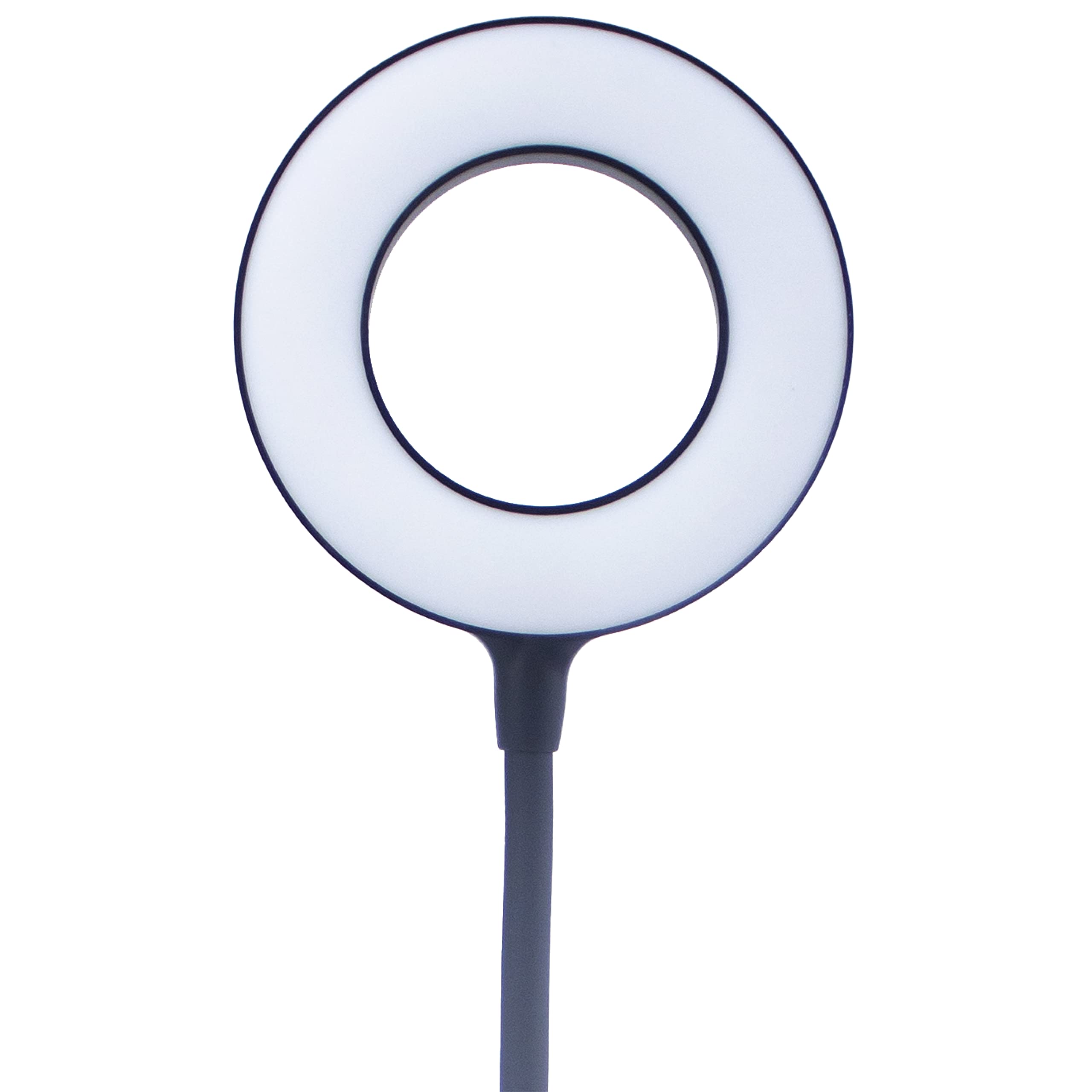 Touch Dimmable Desk Lamp, Black Plastic, 21 LEDs, USB Port, Adjustable Color Temperature